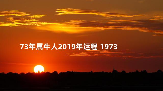 73年属牛人2019年运程 1973年属牛人的运势